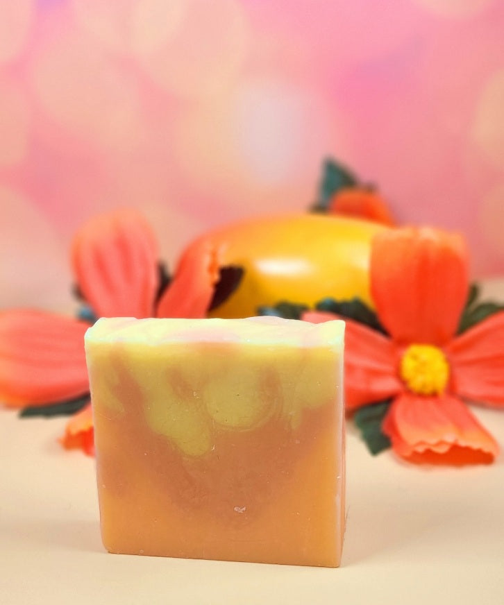 Hibiscus Mango Handmade Soap